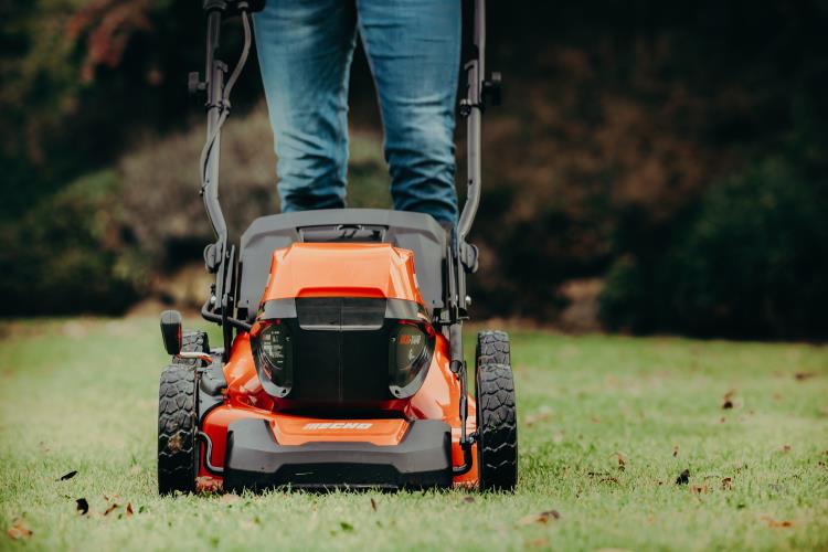 Echo Push Lawn Mower DLM-310/46P - DLM-310_46P 2021 (11).jpg